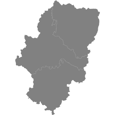 Desinsectación de Chinches en Zaragoza • MaxB Desinfecciones • Mapa de Aragón